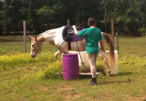 Bailey and Mocha ground school