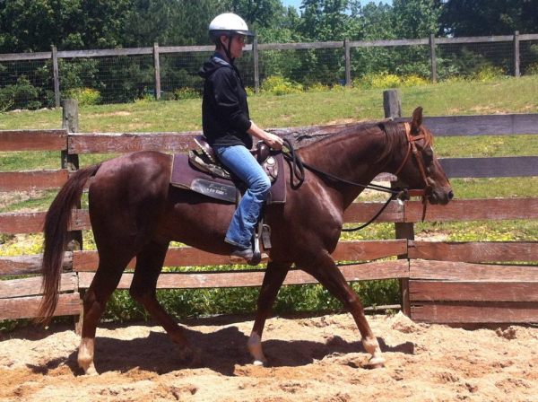 Western Lessons | Hillside Stables